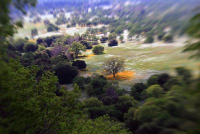 Yokohl Valley