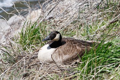 IMG_9105.jpg