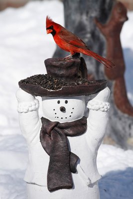 IMG_0385.jpg