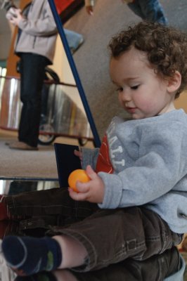20100410-DSC_9299.jpg