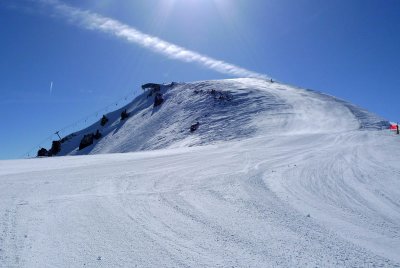 P1000774