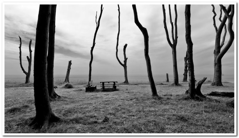 1st - Desolation (2) - Claus