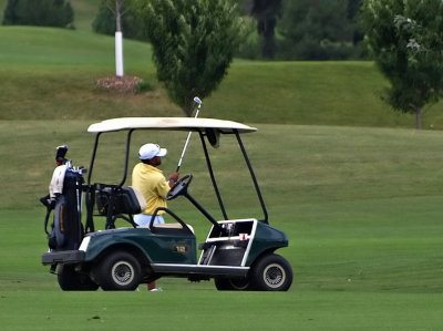 Cart Framed Golfer-Shirley