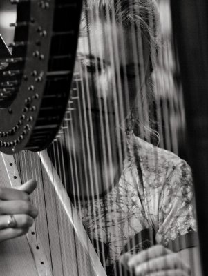 The Harpist - Gautham Narayan