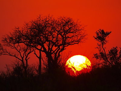 African Sun