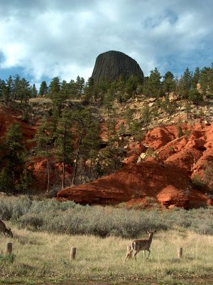 Devils Tower, Wyoming USA-Shirley