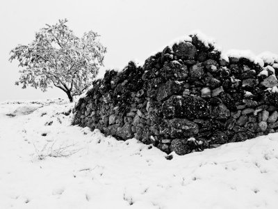 The last snowfall - by endika