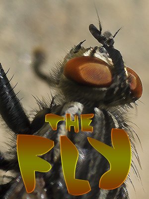 The Fly - Miro