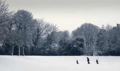 a walk in the park - Colin