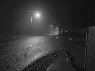 lonely street -ArtP