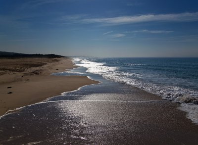 Shimmering deserted beach by Dennis