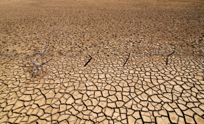 Drought by Dennis