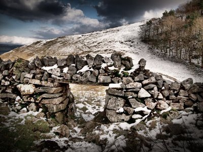 Primitive landscape, Alistair