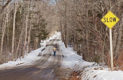 the slow road from winter to spring - Brenda