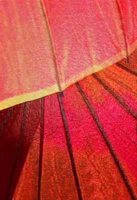 Umbrella Sunrise by Paul Wear