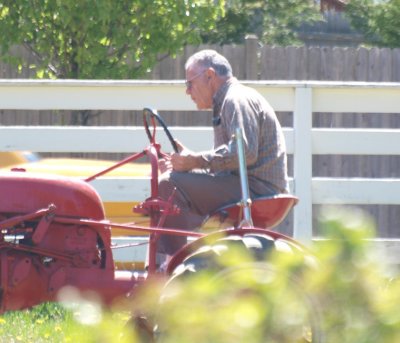 Tony at the wheel -ArtP