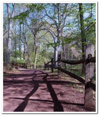 Fence and Bridge - Brad