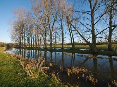 River Thame at Cuddington - Bruce