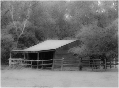 4th - The Ol Horse Barn.jpg