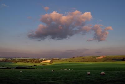 Cloudbusting,  Kate Bush.   by Kev.