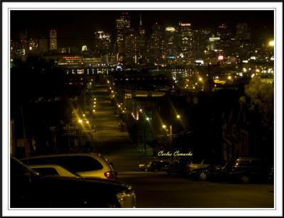 San Franciscan Nights -Animals,photo by Carlos C.