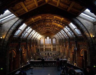 1st Place - natural history museum by gmc