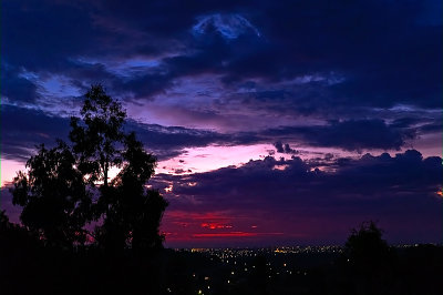 Melbourne evening by Dennis