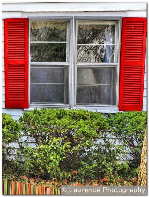 Red Window Treatment. by Arbib