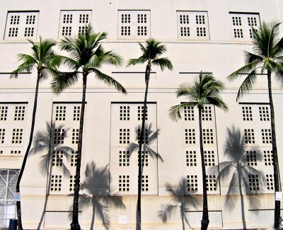 wall palms