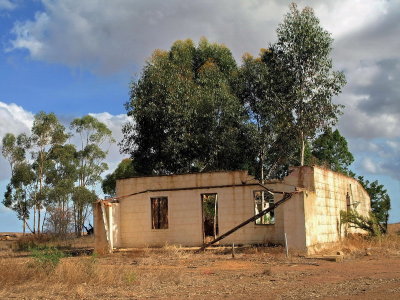 Tree House/Home