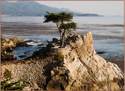 Cypress Point Pacific Grove, CA  USA