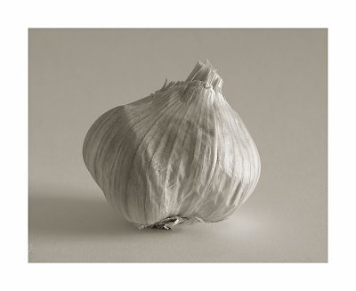 Garlic by FrankM