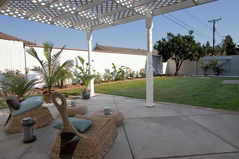 12/3: Back Yard