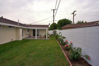 Backyard/Patio