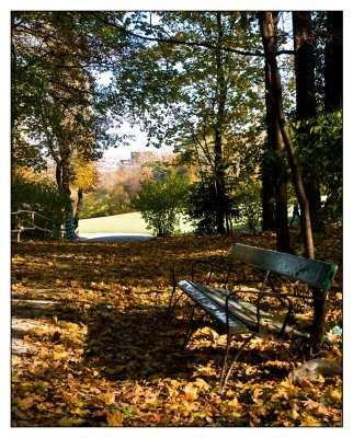 Schonbrunn-garden.jpg