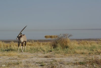 nam09-014.jpg