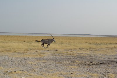 Namibia 09