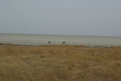 nam09-025.jpg