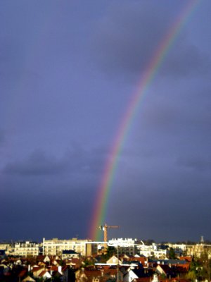rainbow 005-1.jpg