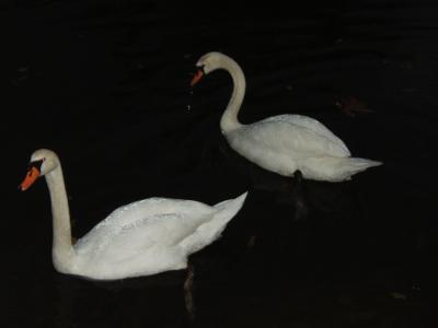 1/12 2005