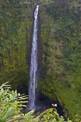 Akaka falls