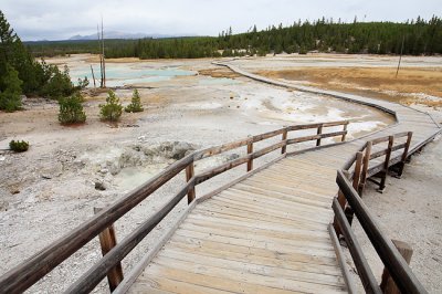 Norris Geyser Basin - Yellowstone NP