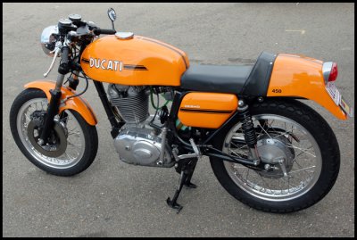 Orange Duke