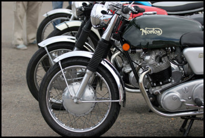 Nortons