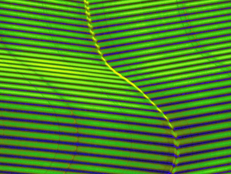 rectilinear fatigue