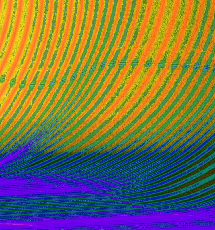 wave of life