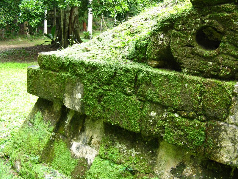 Tikal