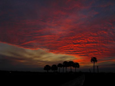 wolf moon sunset