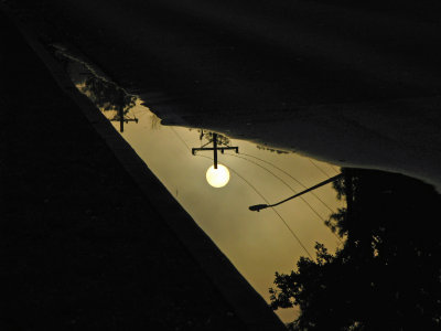 (p: Lantern Review) street puddle reflection