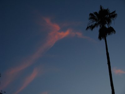 angel cloud 1